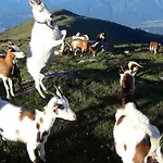 Gerti Kalt Διαμέρισμα Lieserhofen